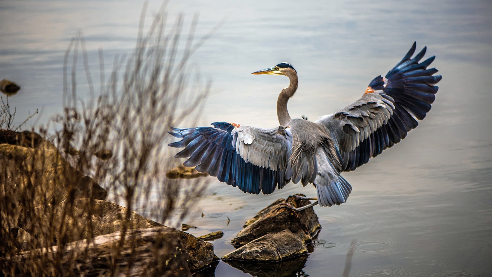 明星球员的“失误”集锦，谁说他们无误？，球赛明星