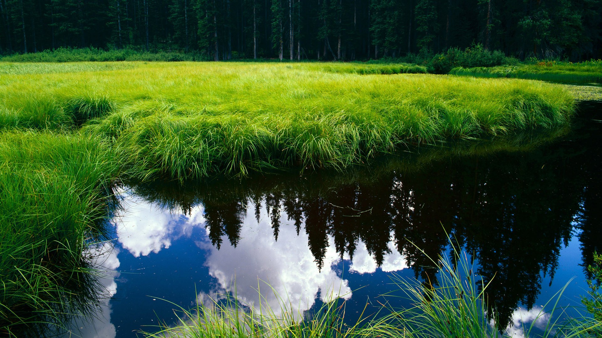 明星球员的“失误”集锦，谁说他们无误？，球赛明星