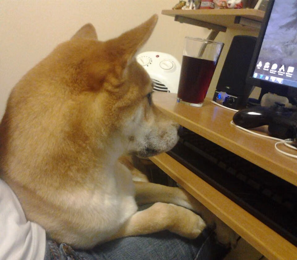 【比赛回顾】丁俊晖：关键时刻的攻防策略全揭秘，丁俊晖技术深度分析